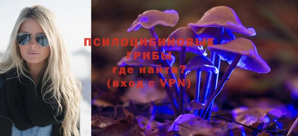 ECSTASY Алзамай
