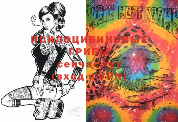 ECSTASY Алзамай