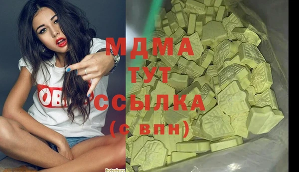 ECSTASY Алзамай