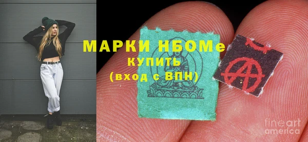 ECSTASY Алзамай