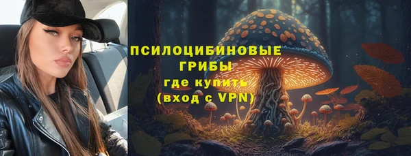 ECSTASY Алзамай